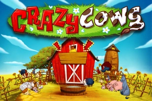 16404 crazy cows