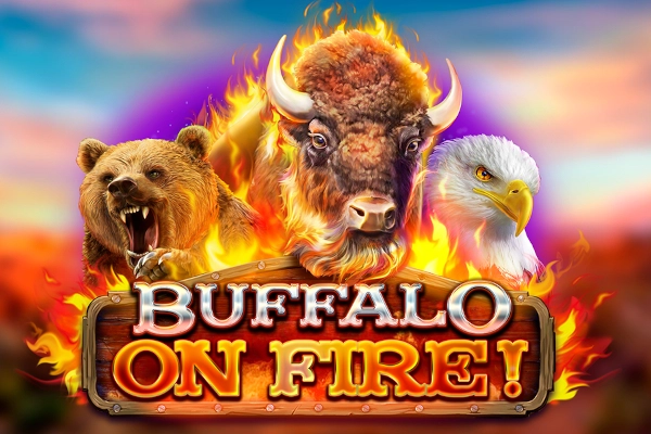 19178 buffalo on fire