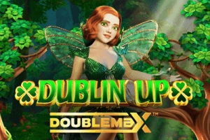 19873 dublin up doublemax