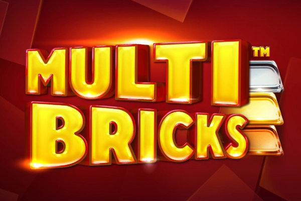 23654 multi bricks
